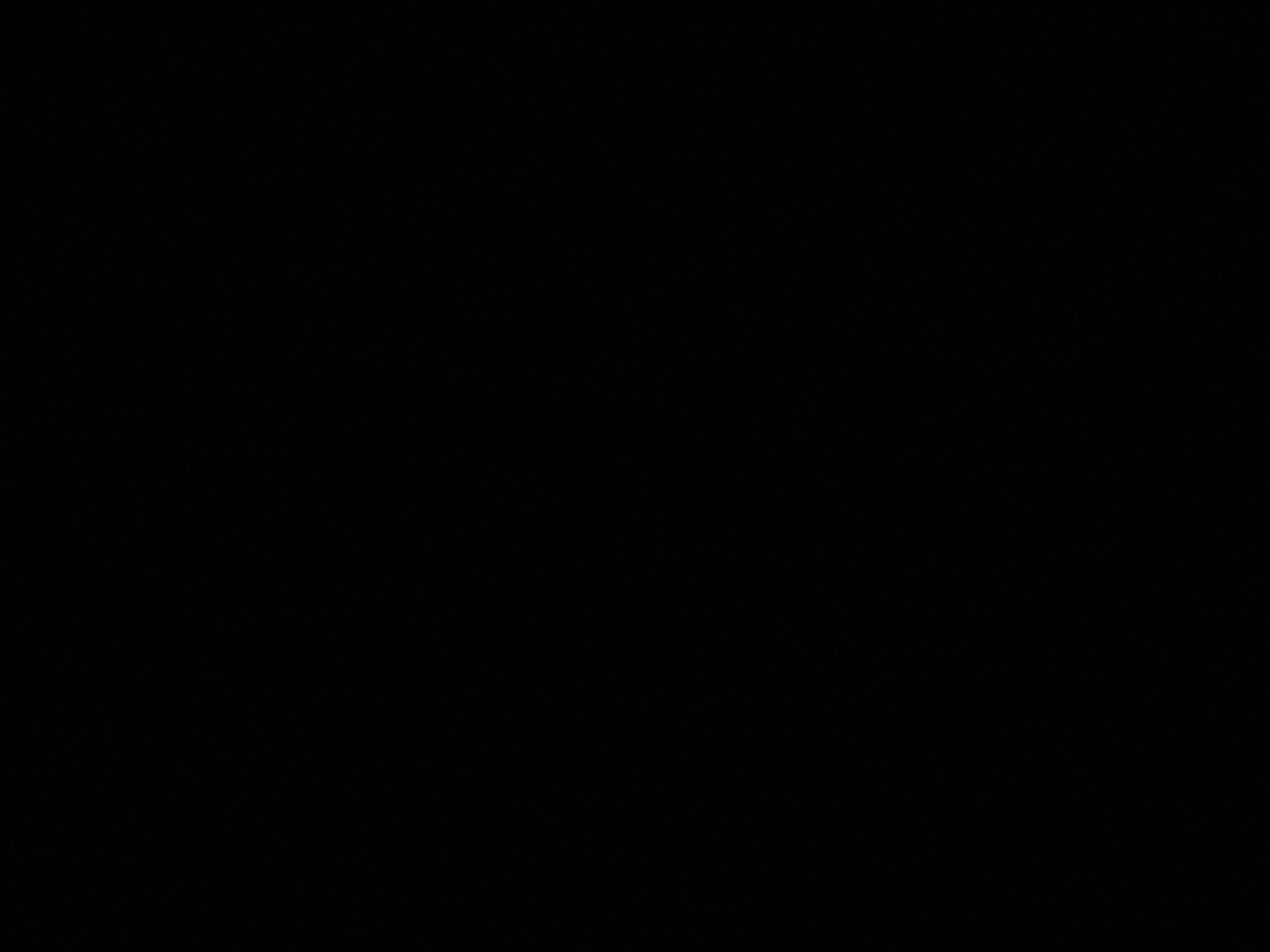 পলাশ সেখ